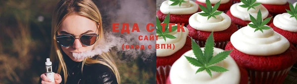 дживик Инта