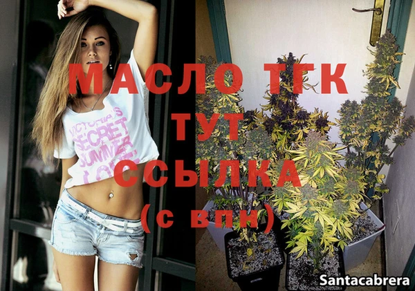 дживик Инта