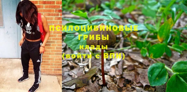 дживик Инта