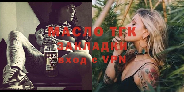 дживик Инта