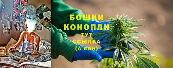 мдпв Зеленодольск